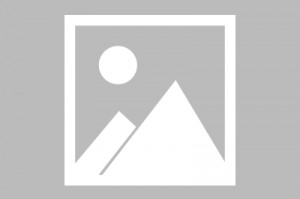 马特乌斯：不能指望拜仁赢欧冠或三冠王，孔帕尼其实工作干得很好